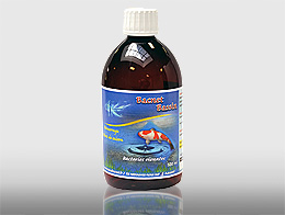 Bacnet Bassin Bacnet Bassin